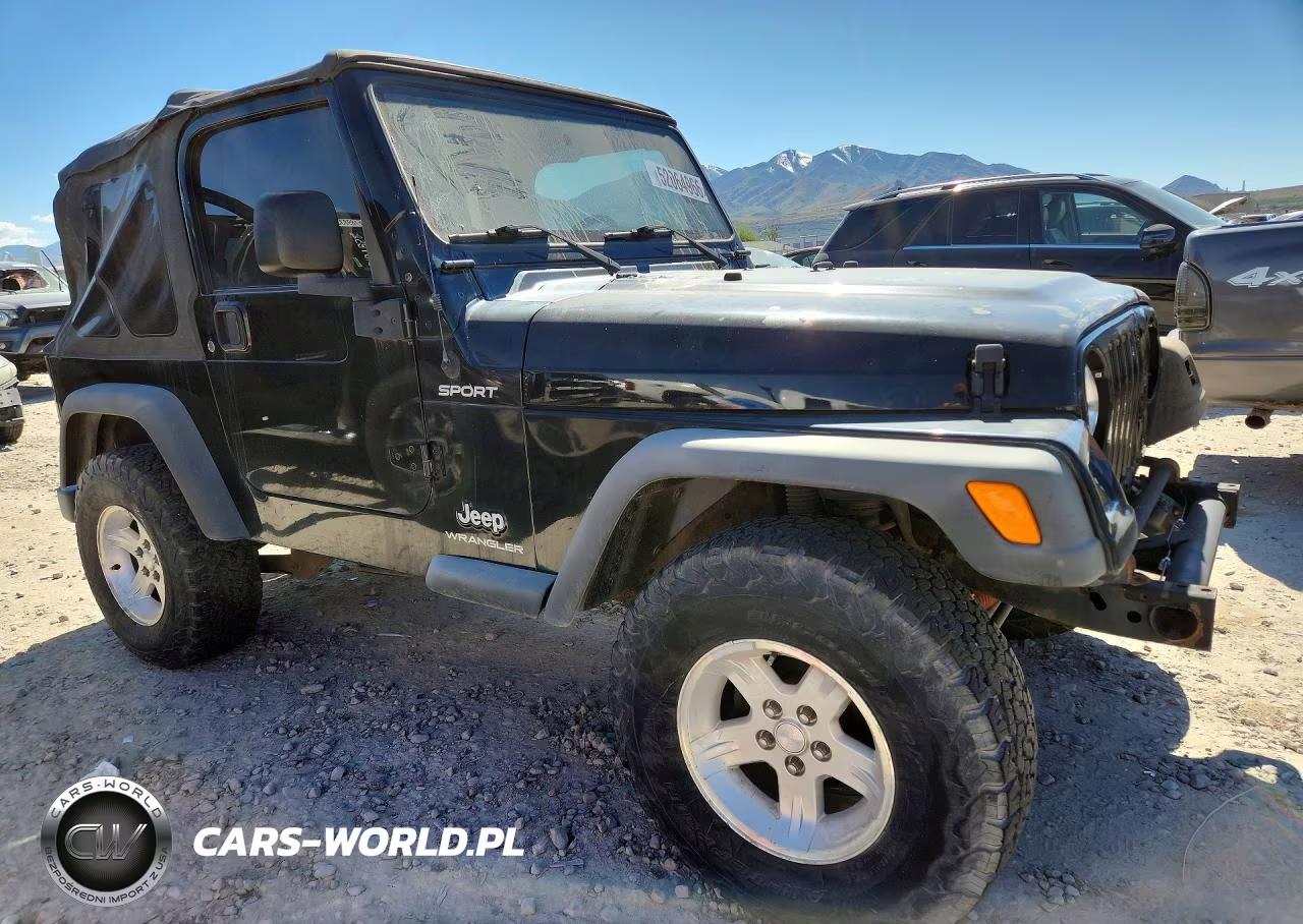2004 Jeep Wrangler - Tj Sport VIN:1J4FA49S44P734151 - 4