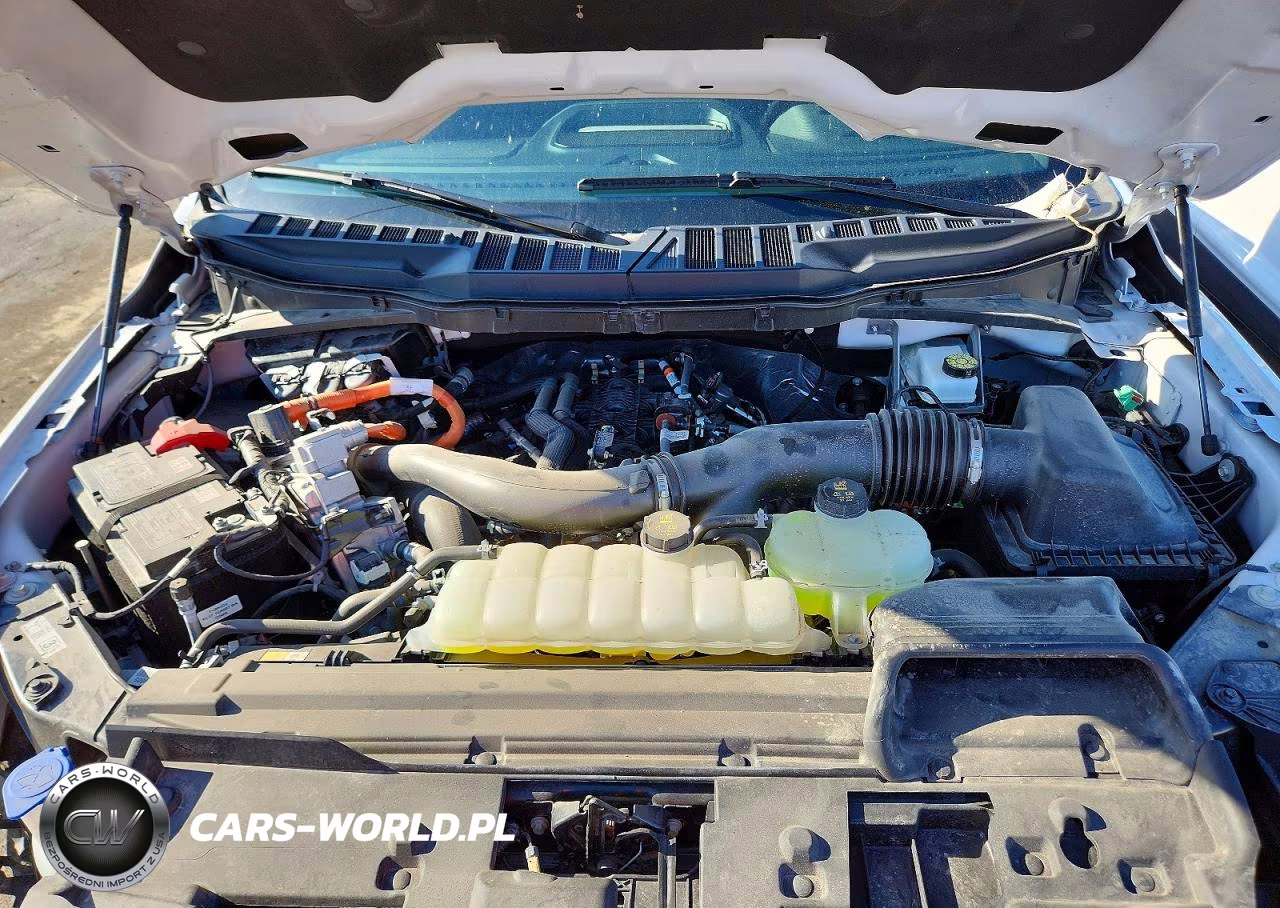 2025 Ford F150 Xlt VIN:1FTFW3LD4SFA29557 - 11