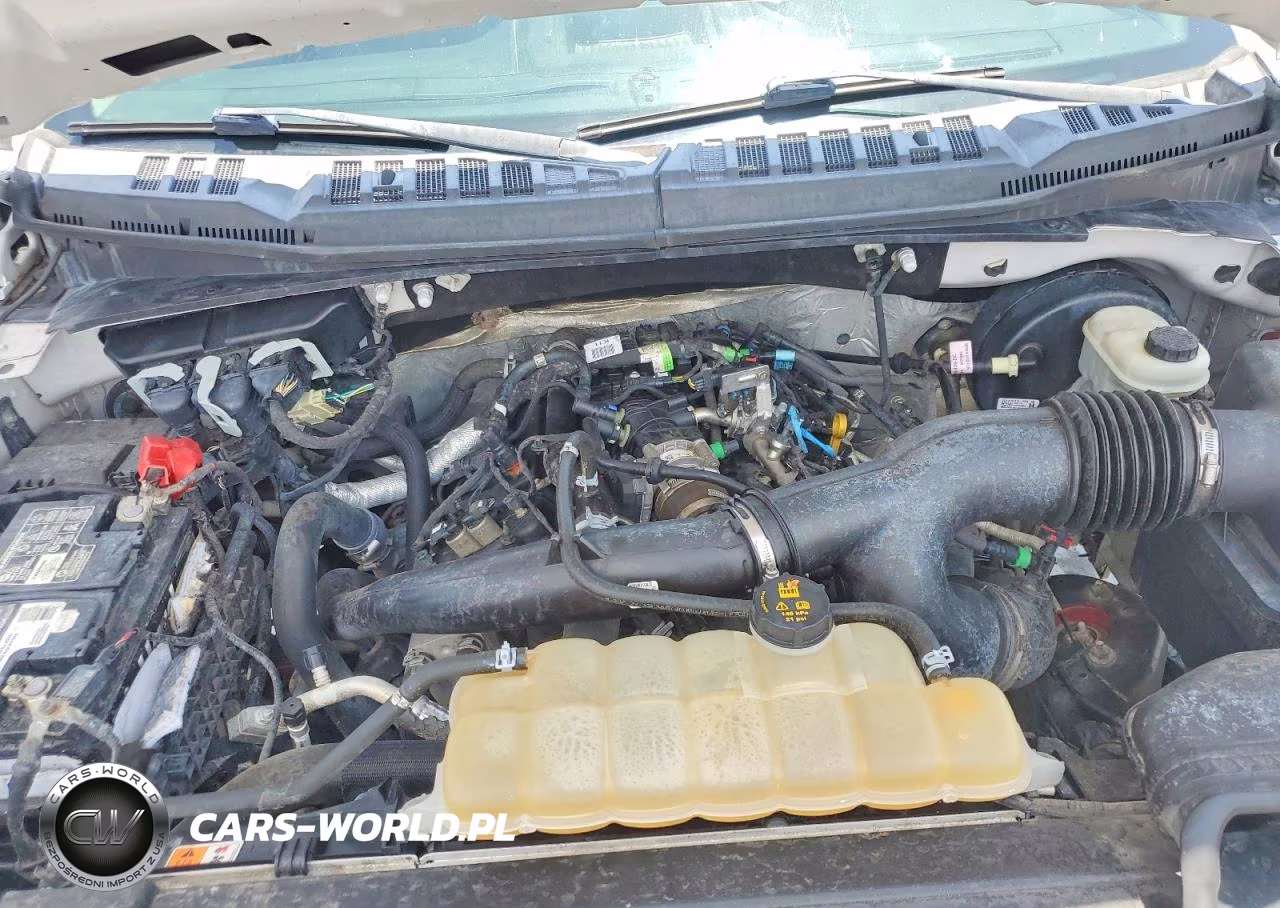 2019 Ford F150 Supercrew VIN:1FTEW1CP6KFA29747 - 11
