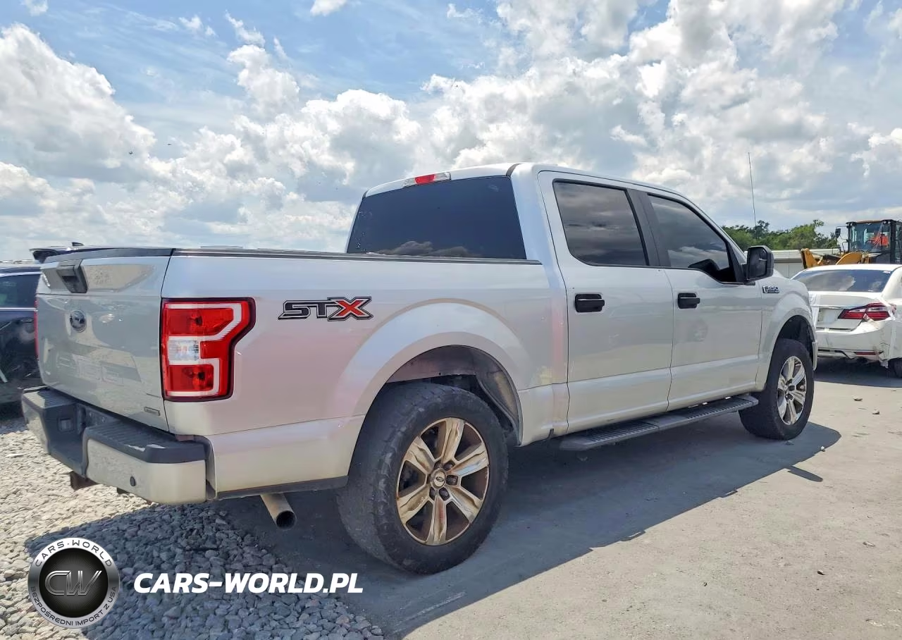 2019 Ford F150 Supercrew VIN:1FTEW1CP6KFA29747 - 3
