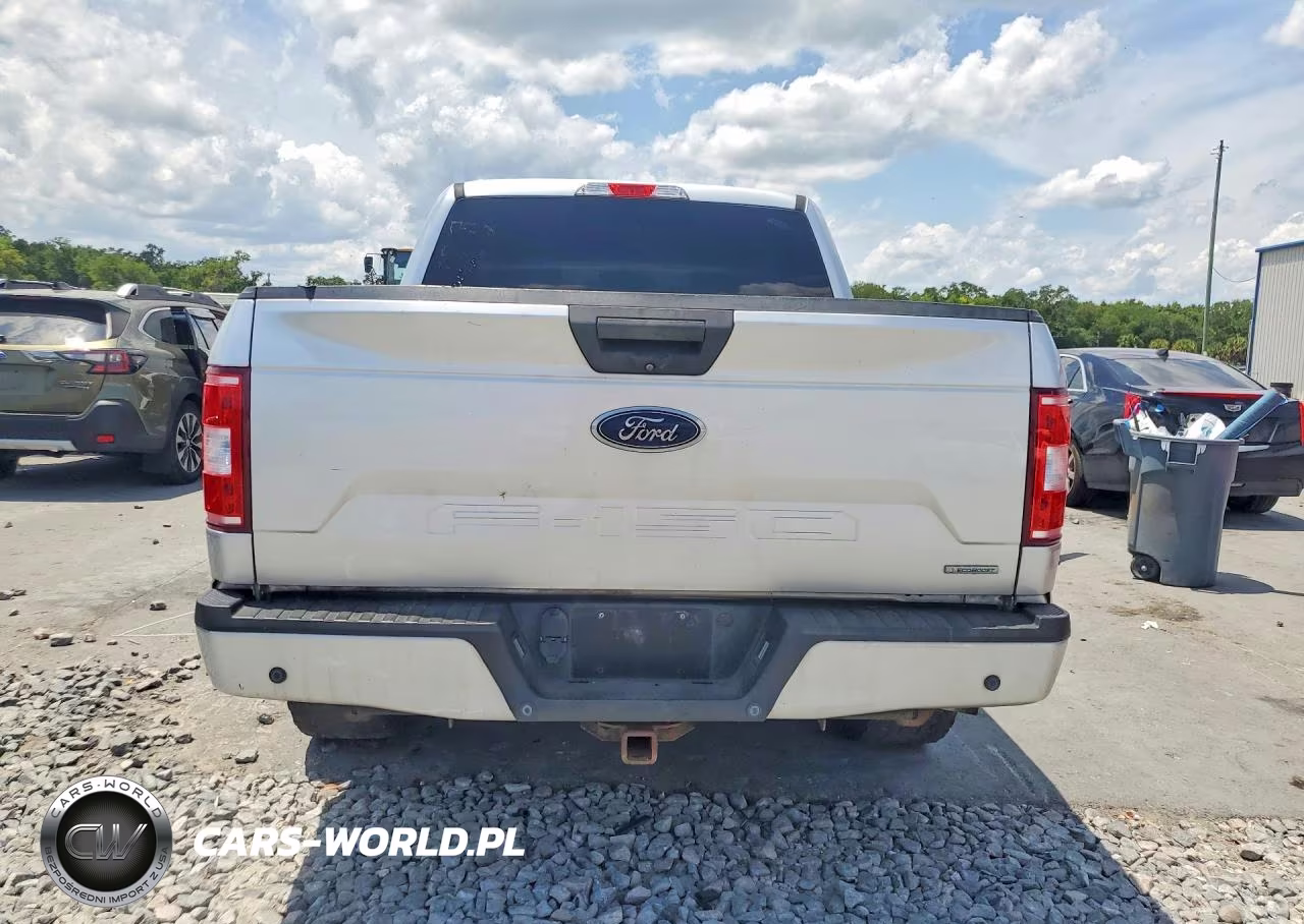 2019 Ford F150 Supercrew VIN:1FTEW1CP6KFA29747 - 6