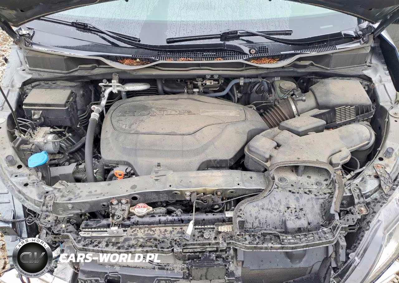 2019 Honda Odyssey Exl VIN:5FNRL6H77KB040213 - 12