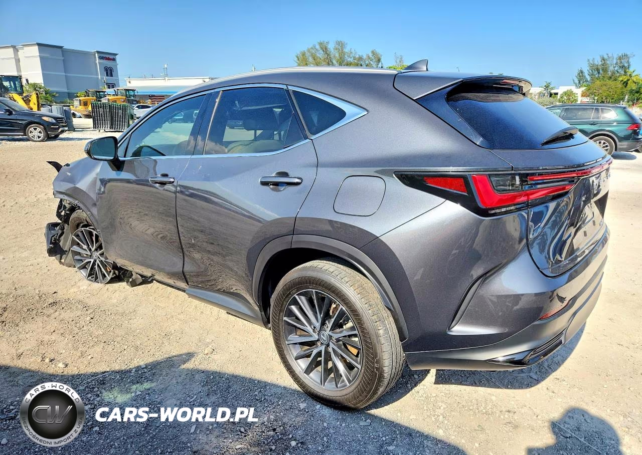 2024 Lexus Nx 250 Premium VIN:2T2GDCAZ0RC009197 - 2