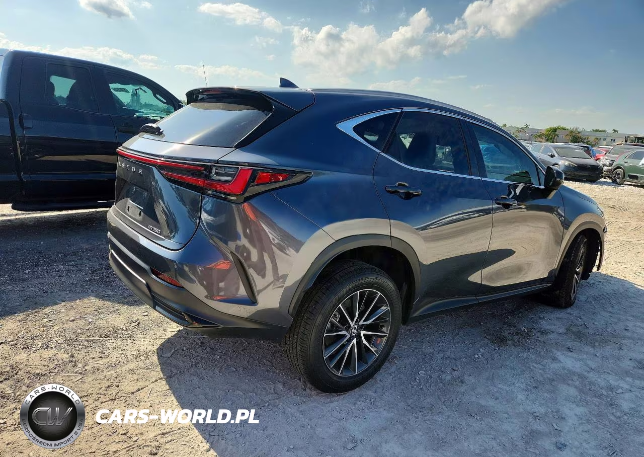 2024 Lexus Nx 250 Premium VIN:2T2GDCAZ0RC009197 - 3
