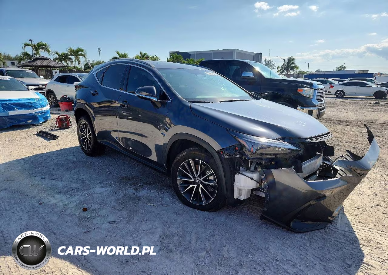 2024 Lexus Nx 250 Premium VIN:2T2GDCAZ0RC009197 - 4