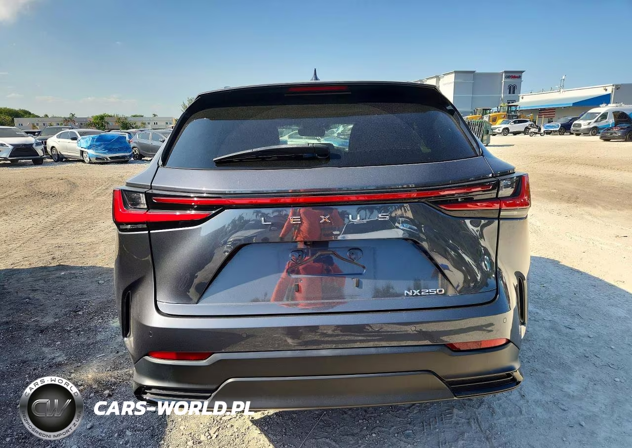 2024 Lexus Nx 250 Premium VIN:2T2GDCAZ0RC009197 - 6