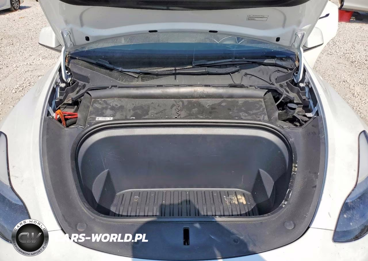 2023 Tesla Model Y VIN:7SAYGDEE7PF880185 - 11
