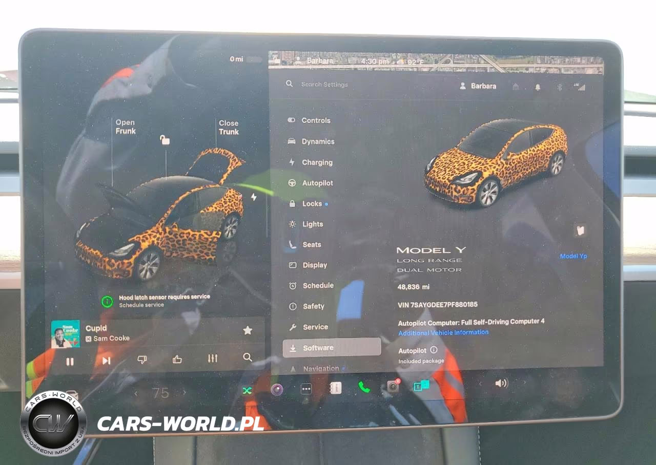 2023 Tesla Model Y VIN:7SAYGDEE7PF880185 - 9