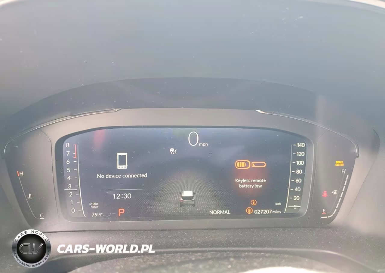 2023 Honda Pilot Elite VIN:5FNYG1H80PB036376 - 9