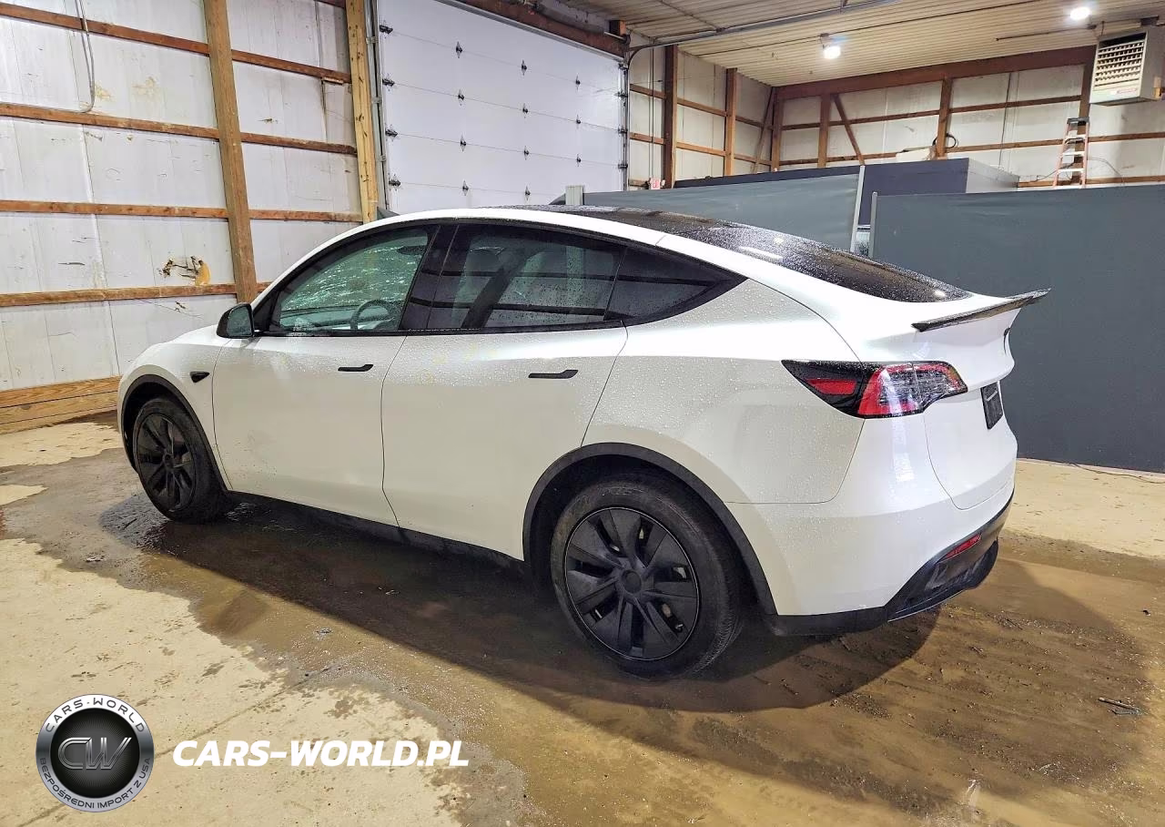 2025 Tesla Model Y VIN:7SAYGDEE9SF223011 - 2