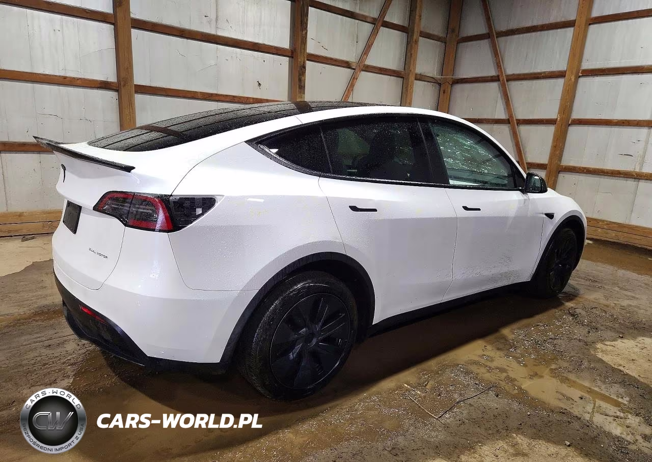 2025 Tesla Model Y VIN:7SAYGDEE9SF223011 - 3