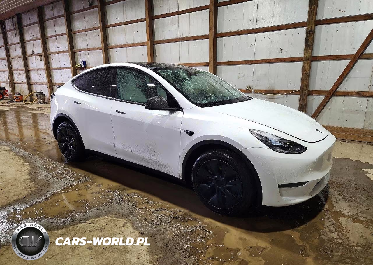 2025 Tesla Model Y VIN:7SAYGDEE9SF223011 - 4