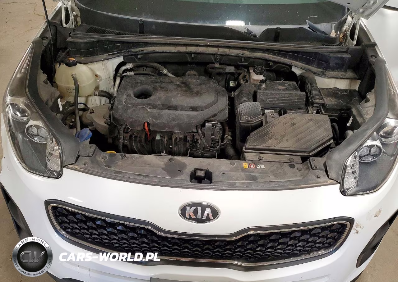 2019 Kia Sportage Lx VIN:KNDPM3ACXK7616117 - 11