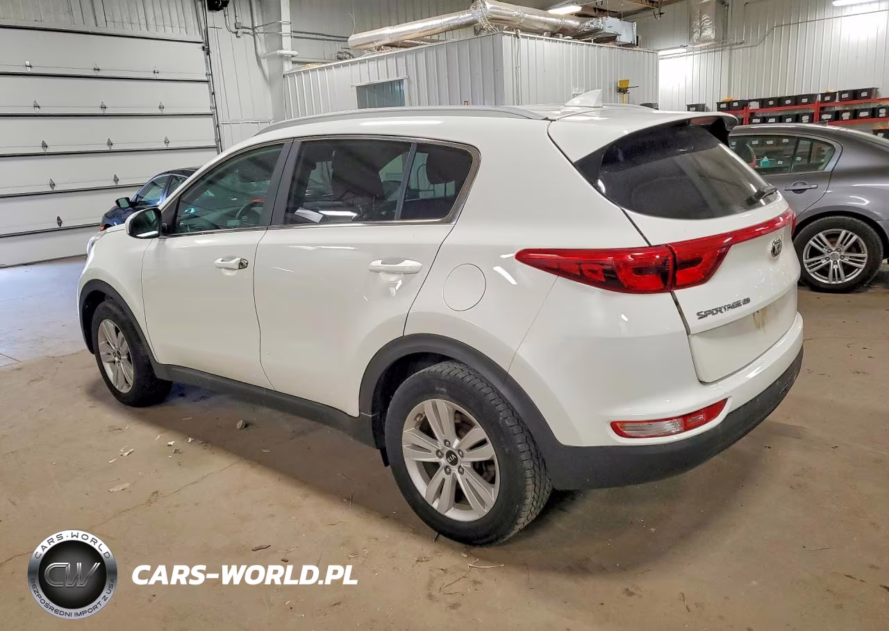 2019 Kia Sportage Lx VIN:KNDPM3ACXK7616117 - 2