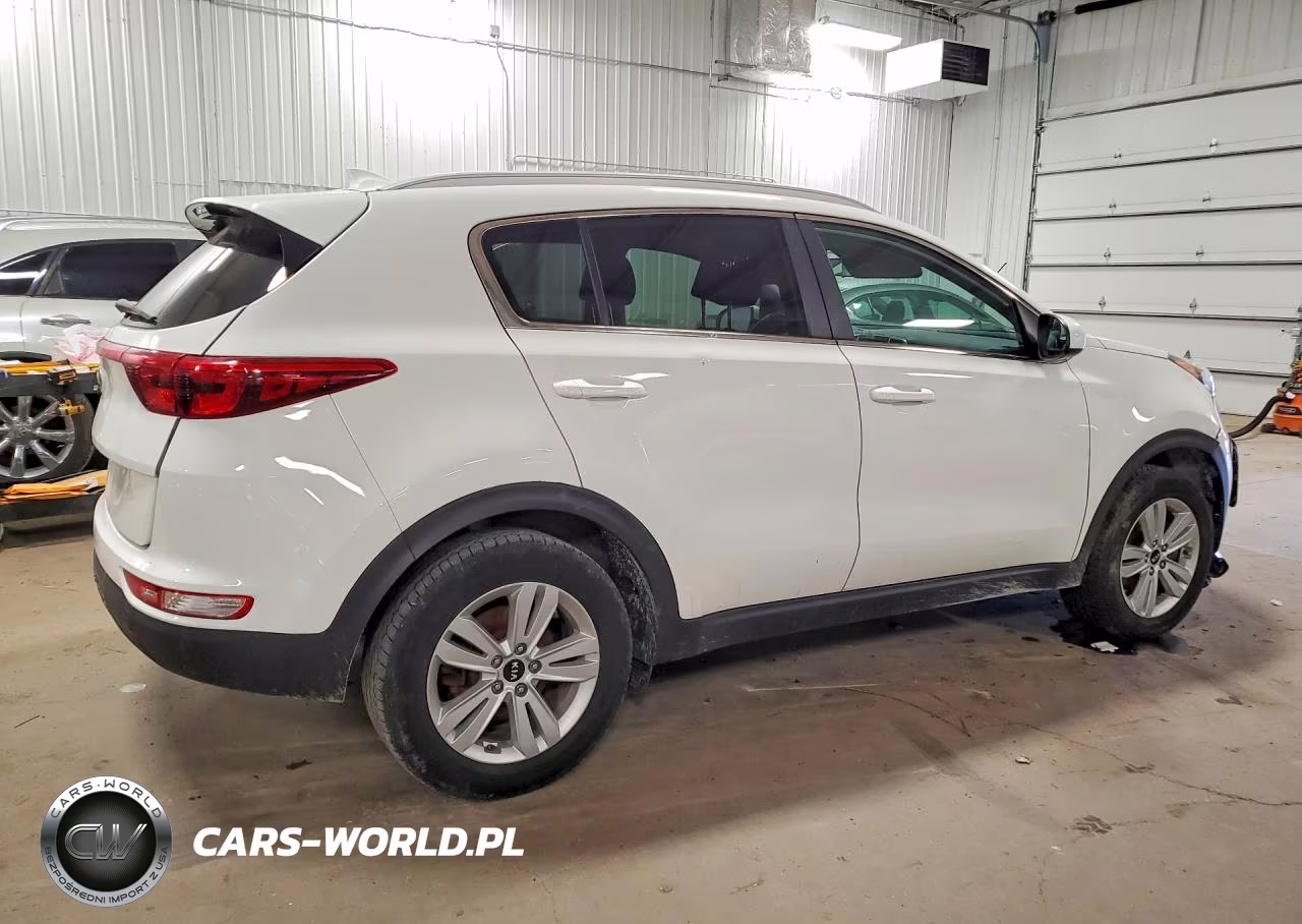 2019 Kia Sportage Lx VIN:KNDPM3ACXK7616117 - 3