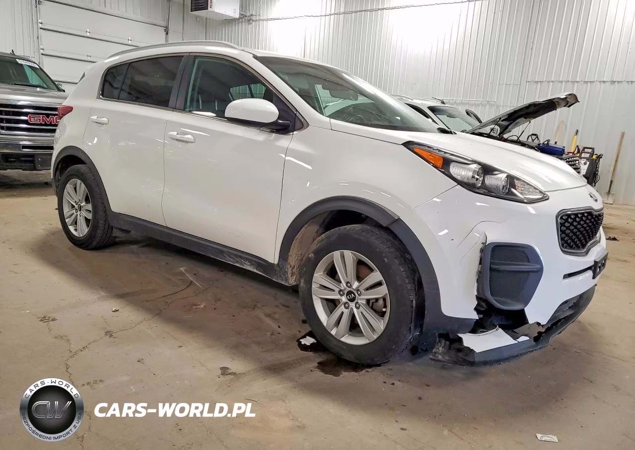 2019 Kia Sportage Lx VIN:KNDPM3ACXK7616117 - 4