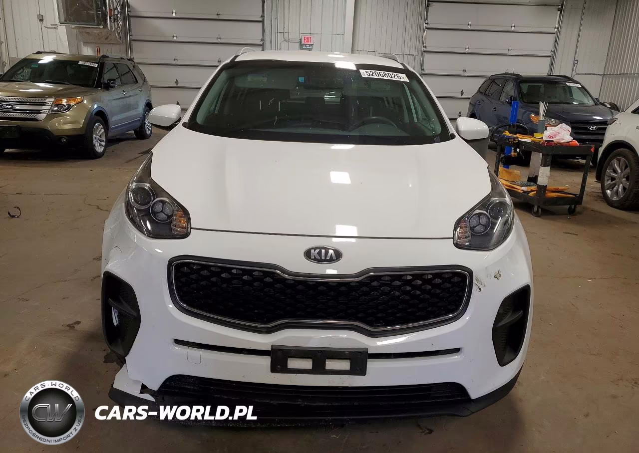 2019 Kia Sportage Lx VIN:KNDPM3ACXK7616117 - 5