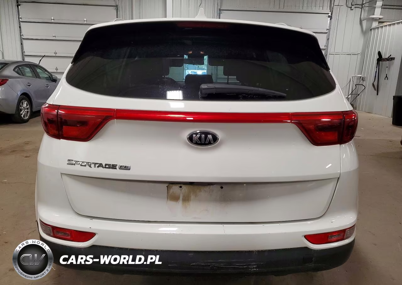 2019 Kia Sportage Lx VIN:KNDPM3ACXK7616117 - 6