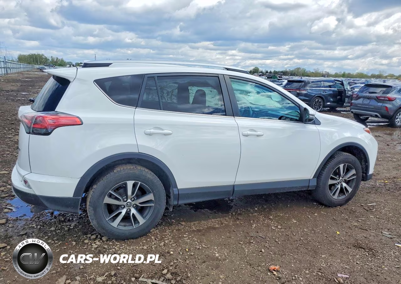 2016 Toyota Rav4 Xle VIN:2T3WFREVXGW243502 - 3
