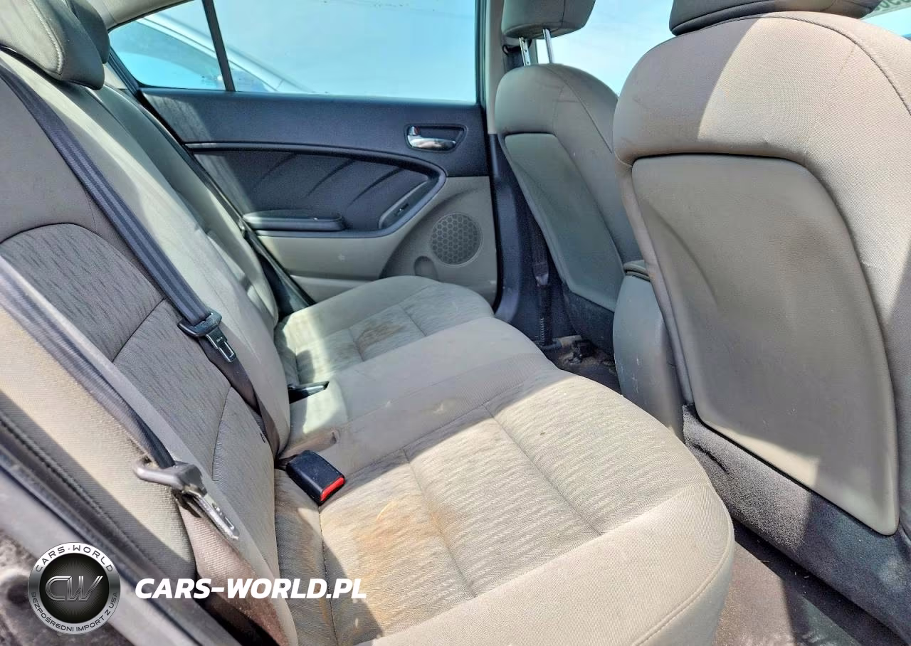 2016 Kia Forte Lx VIN:KNAFK4A67G5521810 - 10