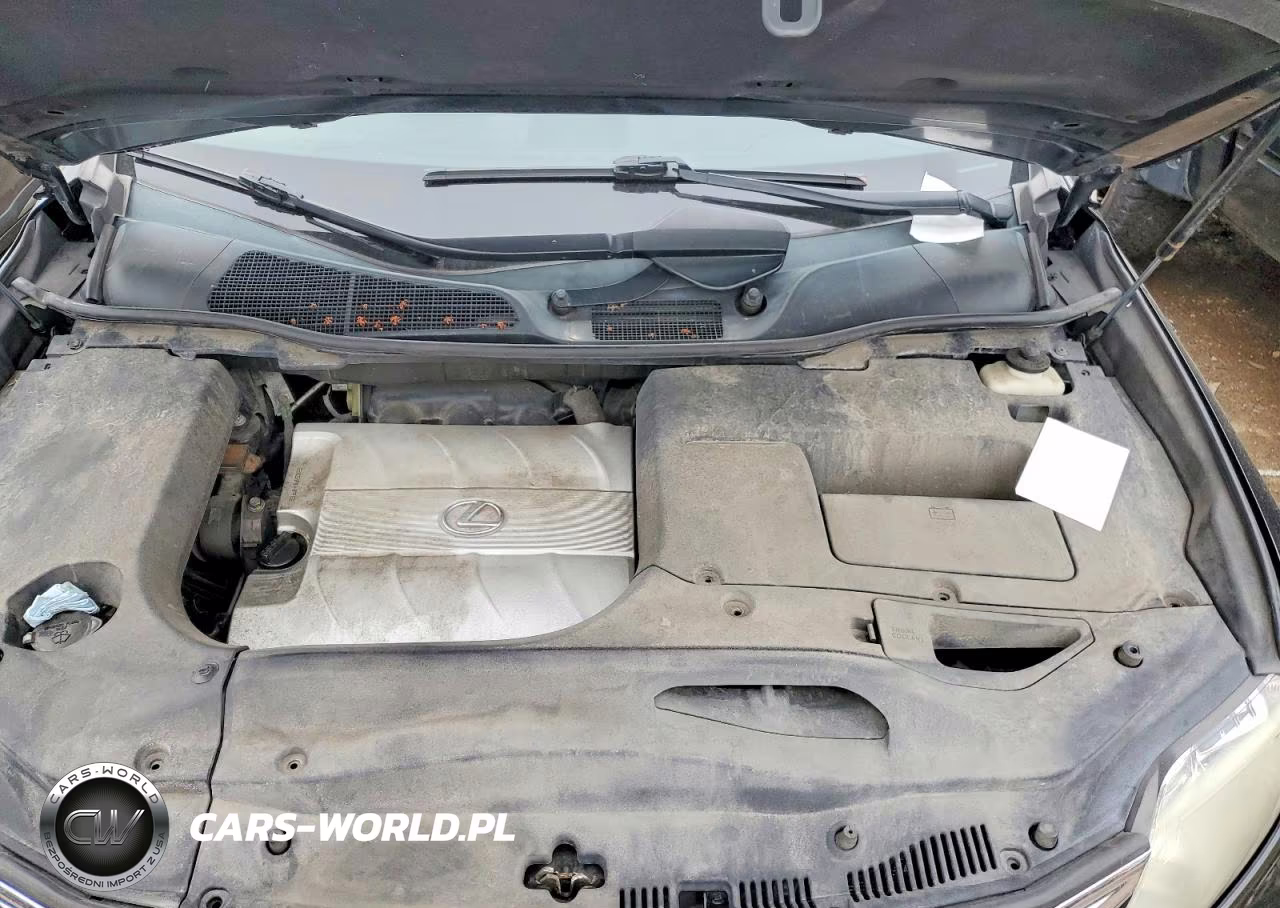 2010 Lexus Rx 350 VIN:2T2BK1BAXAC039096 - 11