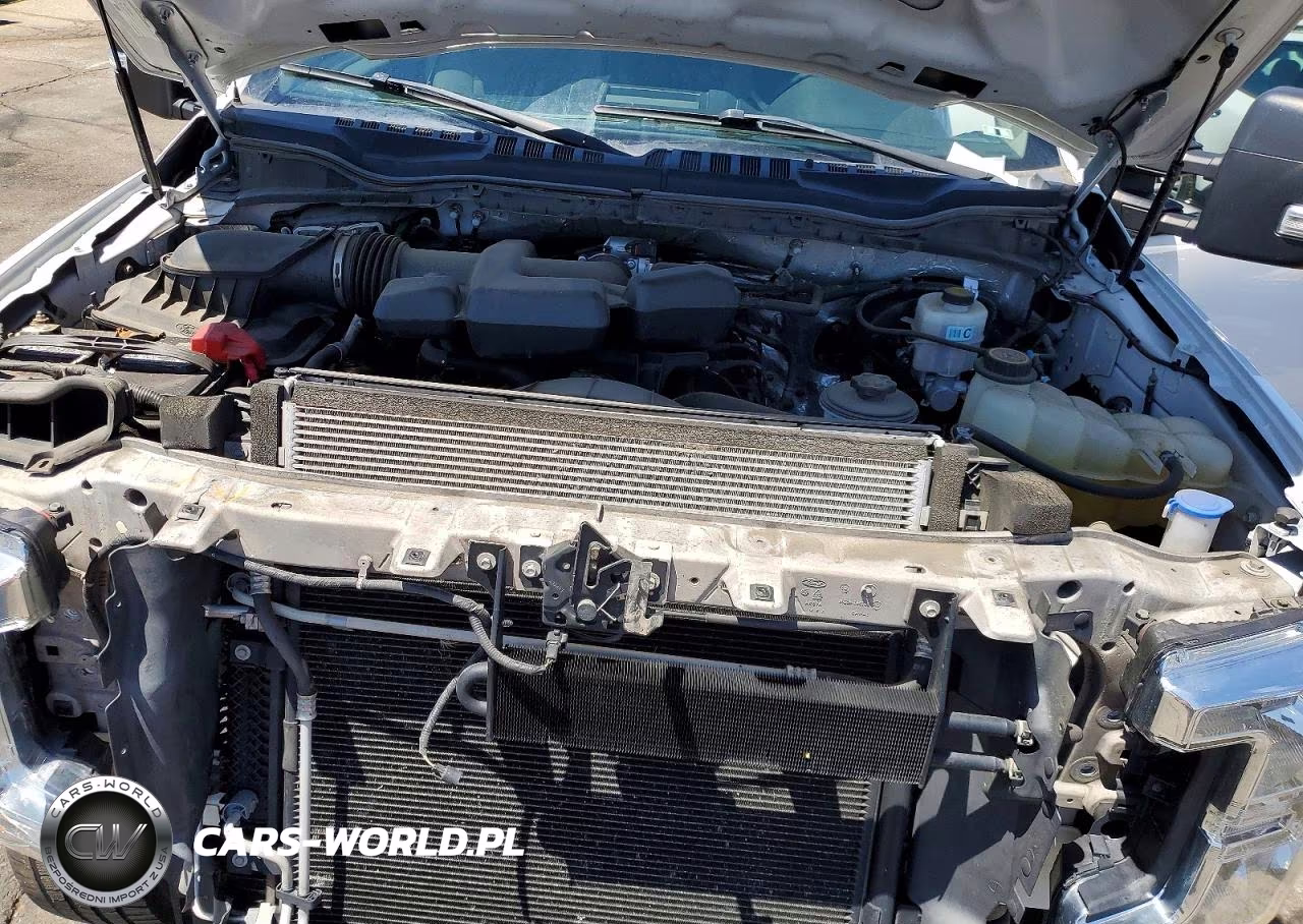 2019 Ford F250 Super Duty VIN:1FT7W2B66KEF65191 - 11