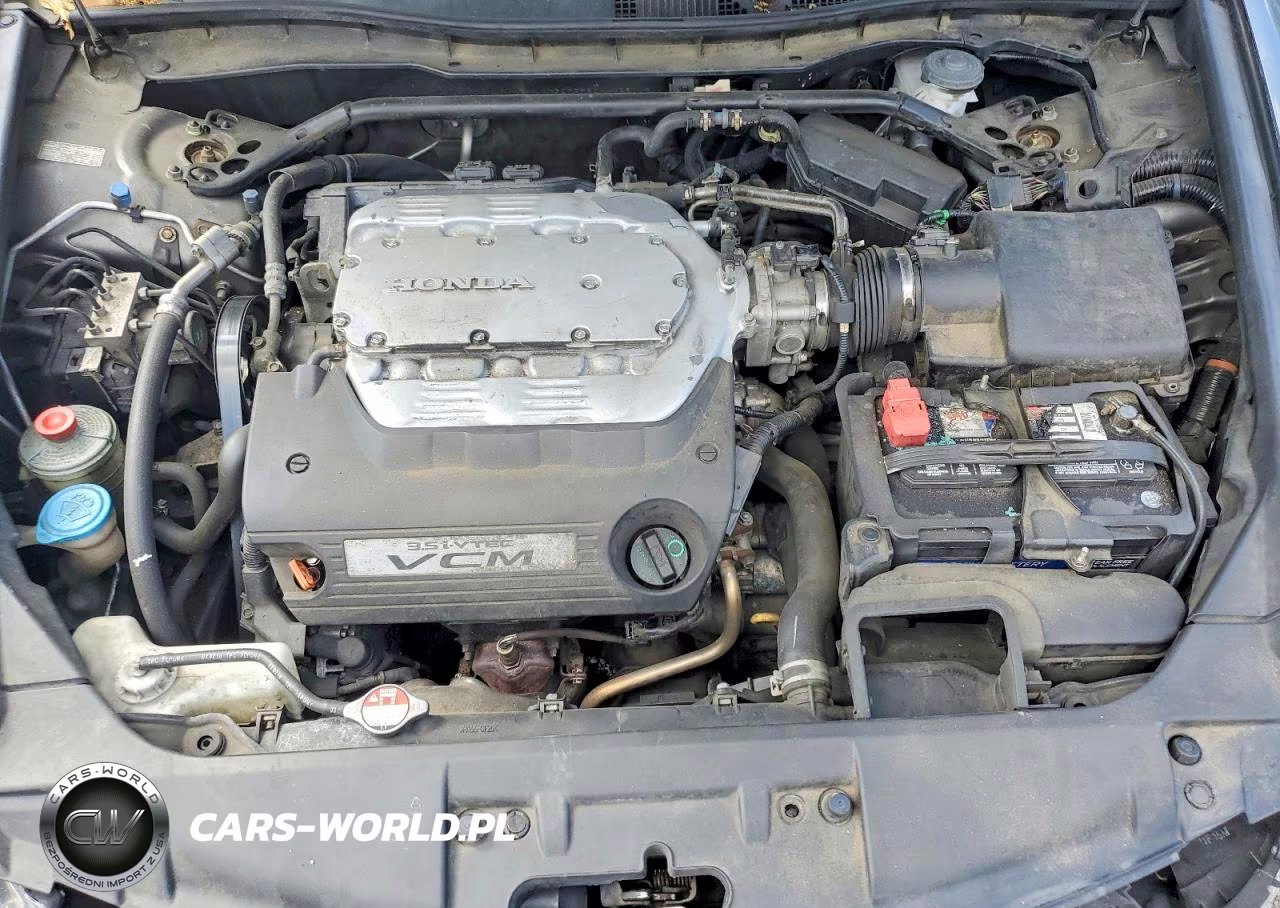 2010 Honda Accord Exl VIN:1HGCP3F80AA028112 - 11