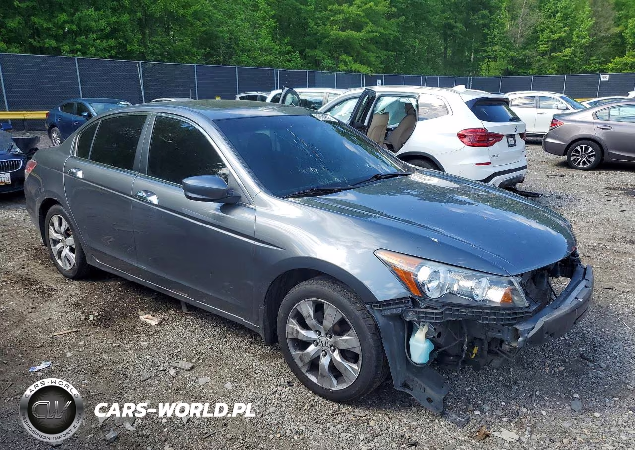 2010 Honda Accord Exl VIN:1HGCP3F80AA028112 - 4