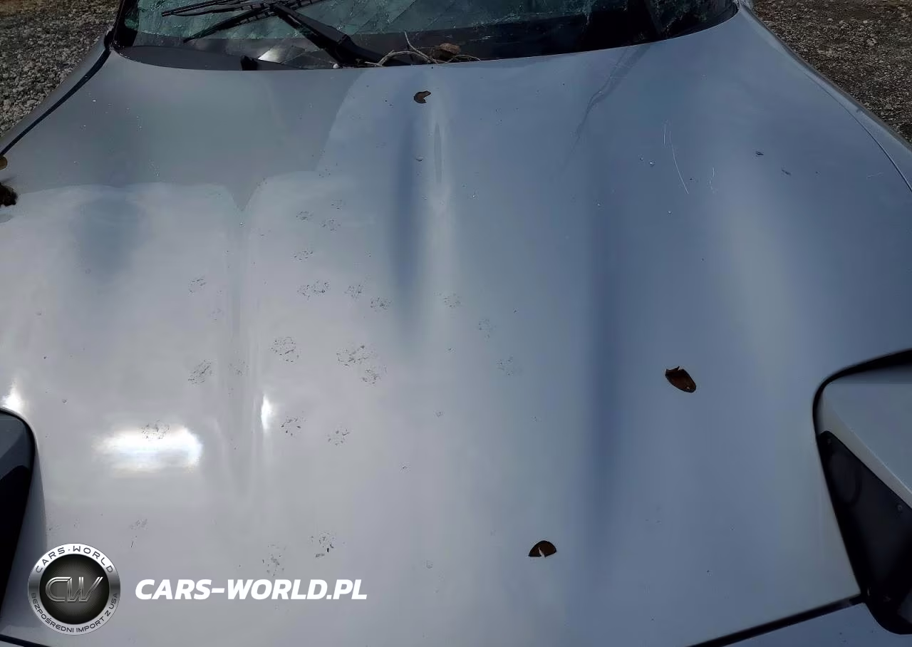 1999 Chevrolet Corvette VIN:1G1YY22G9X5128762 - 11