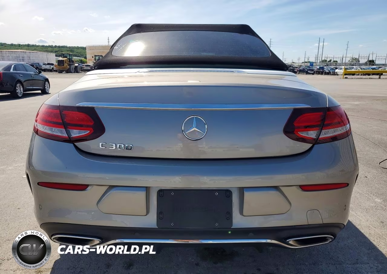 2019 Mercedes-Benz C 300 VIN:WDDWK8DB2KF928784 - 6