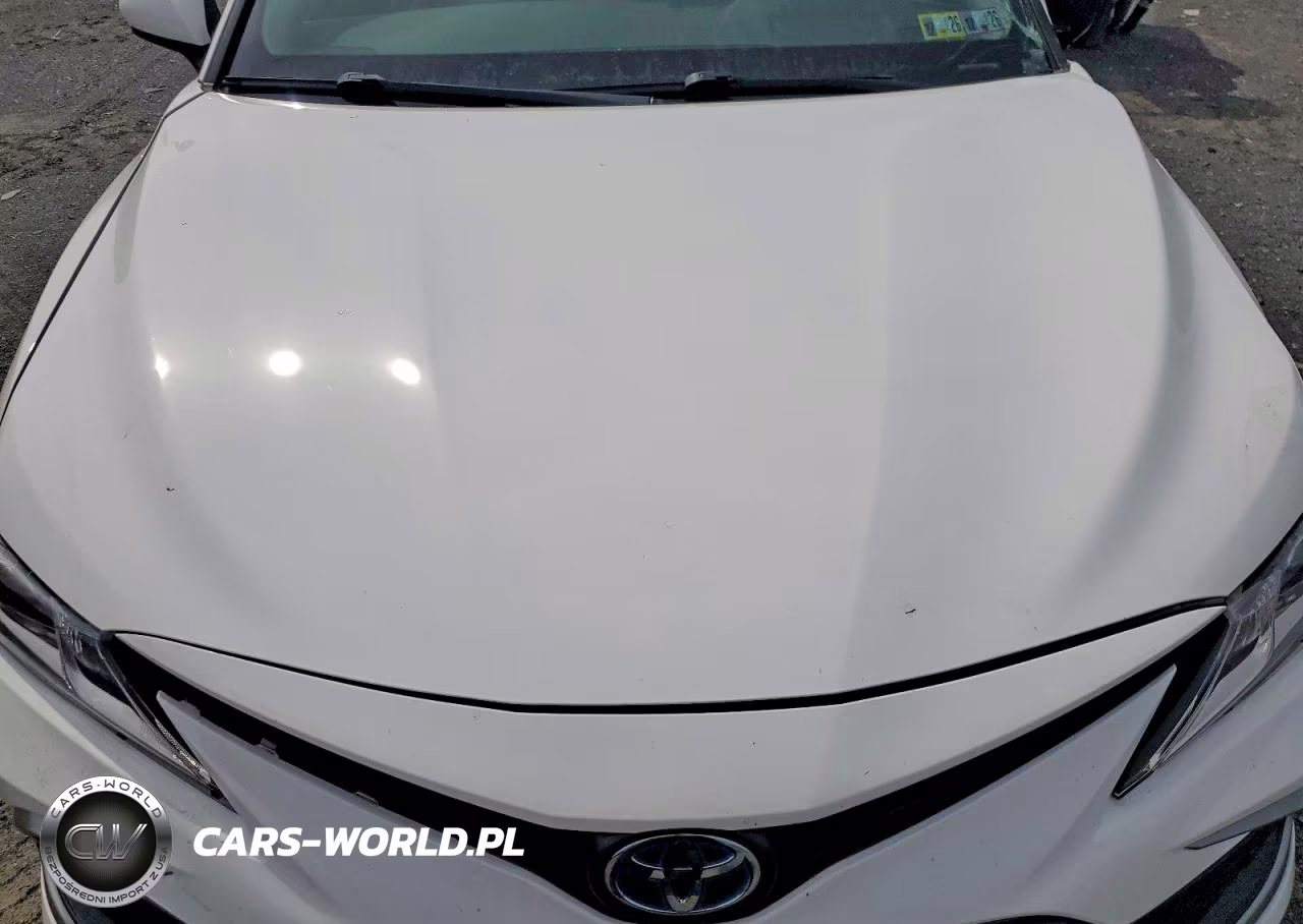 2021 Toyota Camry Le VIN:4T1C31AK8MU562748 - 11