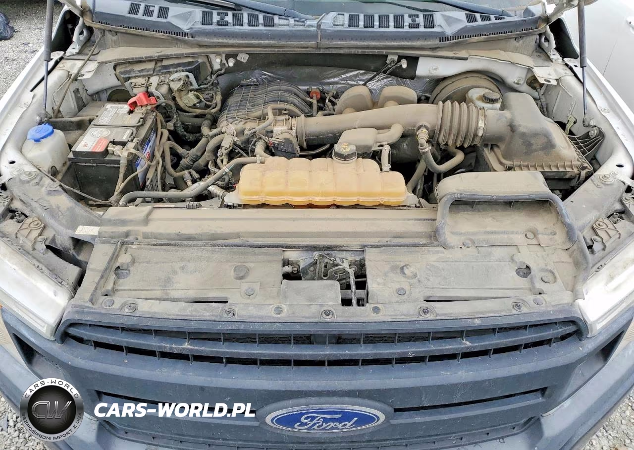 2019 Ford F150 VIN:1FTMF1CB9KKD05023 - 11