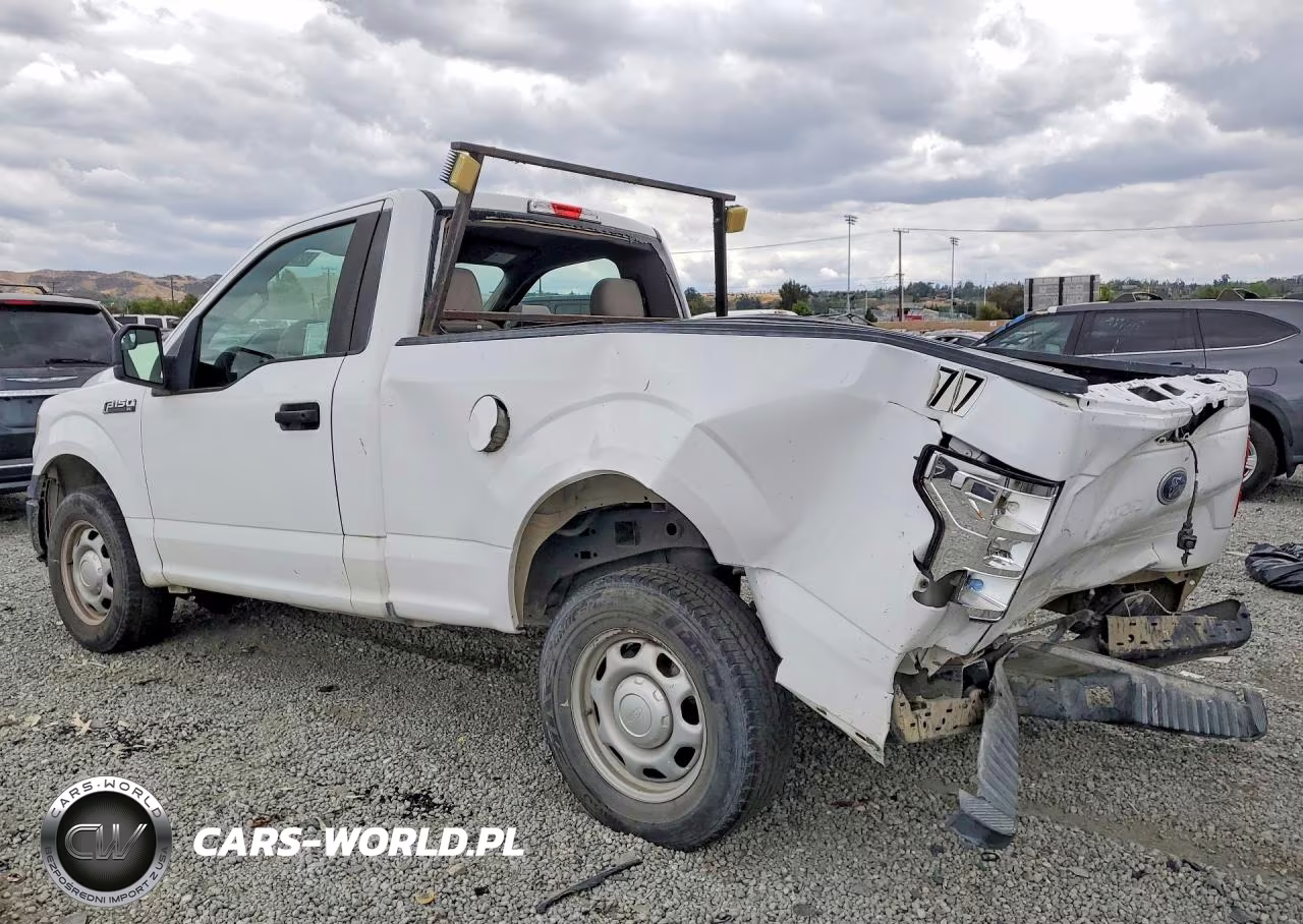 2019 Ford F150 VIN:1FTMF1CB9KKD05023 - 2