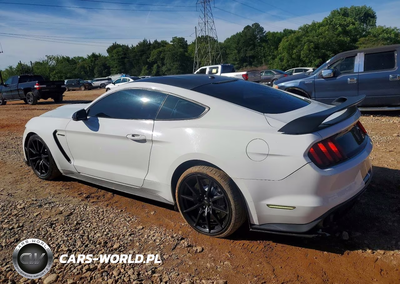 2017 Ford Mustang Shelby Gt350 VIN:1FA6P8JZXH5523533 - 2