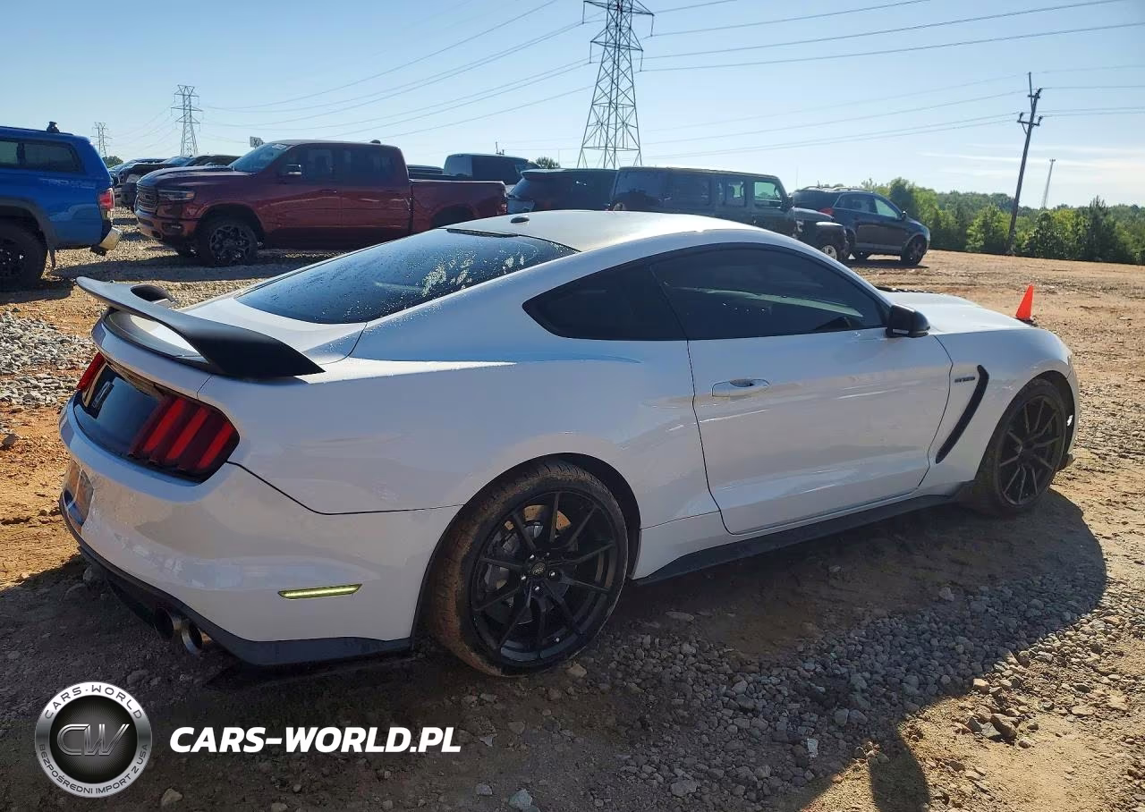 2017 Ford Mustang Shelby Gt350 VIN:1FA6P8JZXH5523533 - 3
