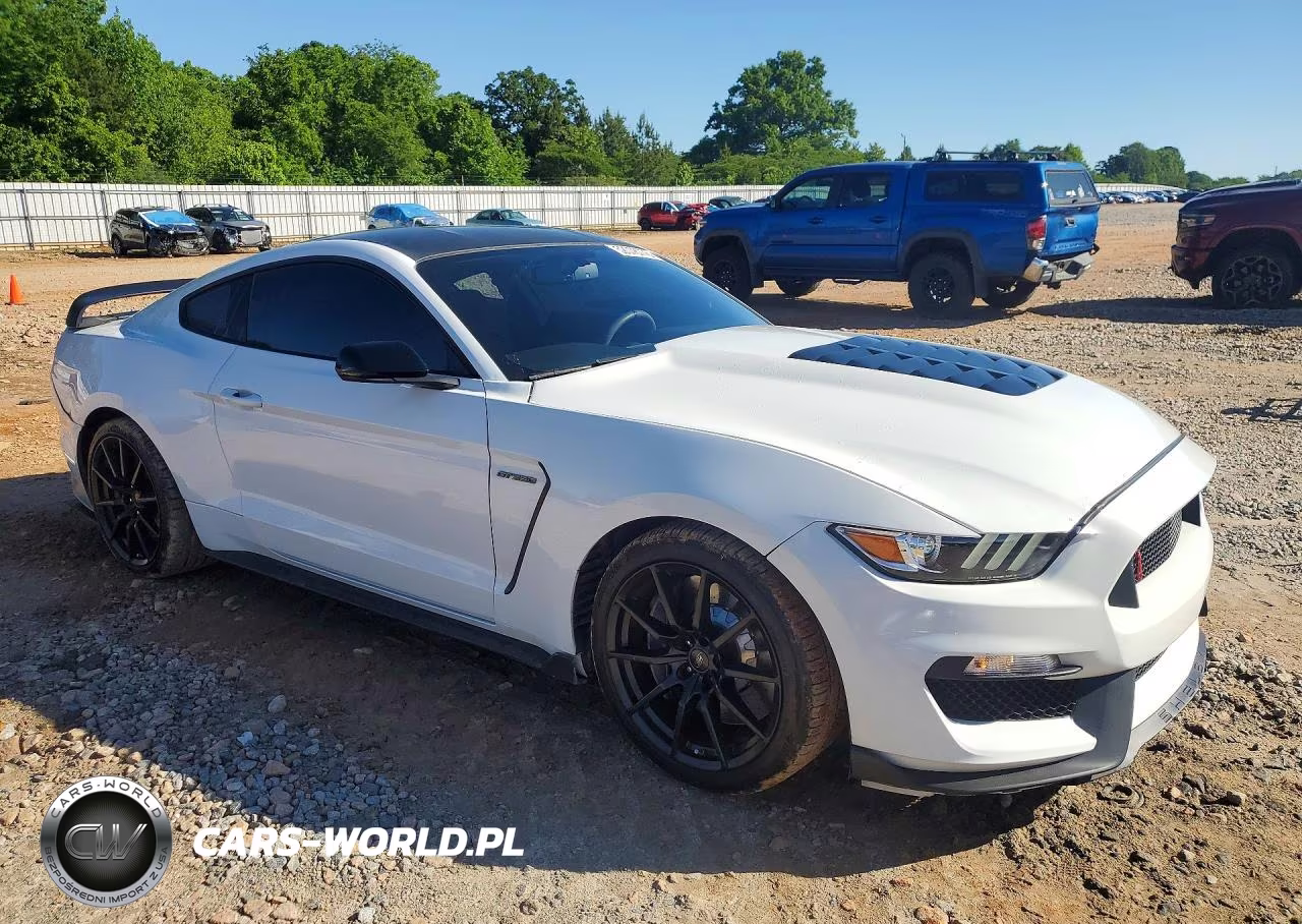 2017 Ford Mustang Shelby Gt350 VIN:1FA6P8JZXH5523533 - 4