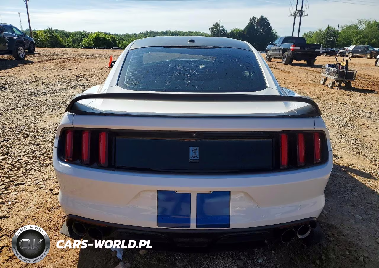 2017 Ford Mustang Shelby Gt350 VIN:1FA6P8JZXH5523533 - 6