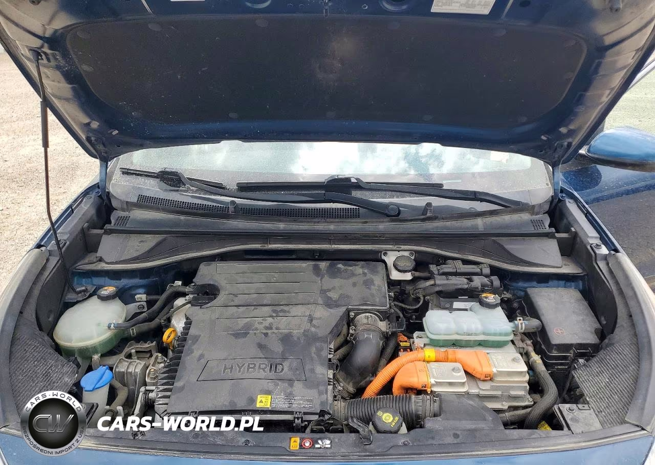 2019 Kia Niro Lx VIN:KNDCB3LC0K5349258 - 11