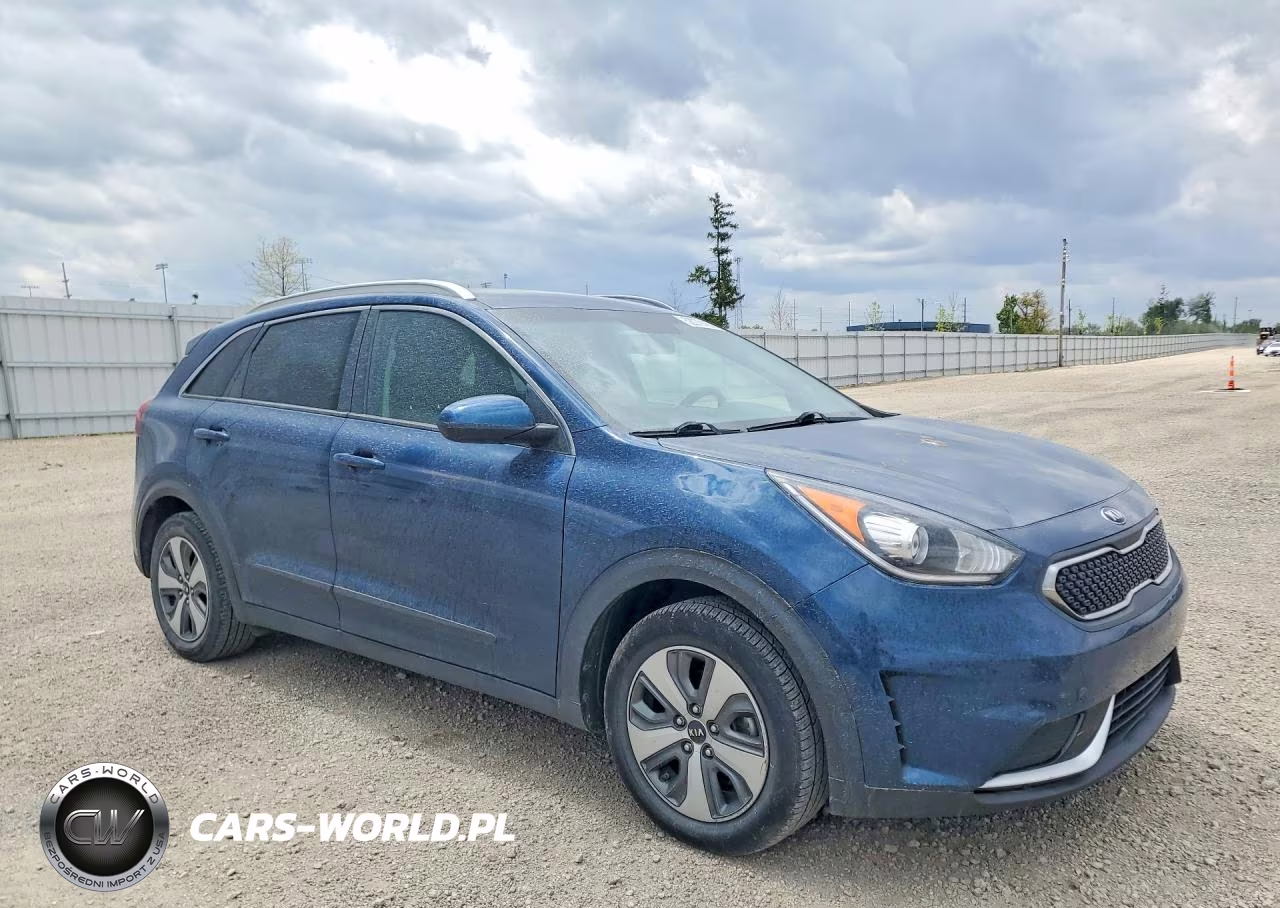 2019 Kia Niro Lx VIN:KNDCB3LC0K5349258 - 4
