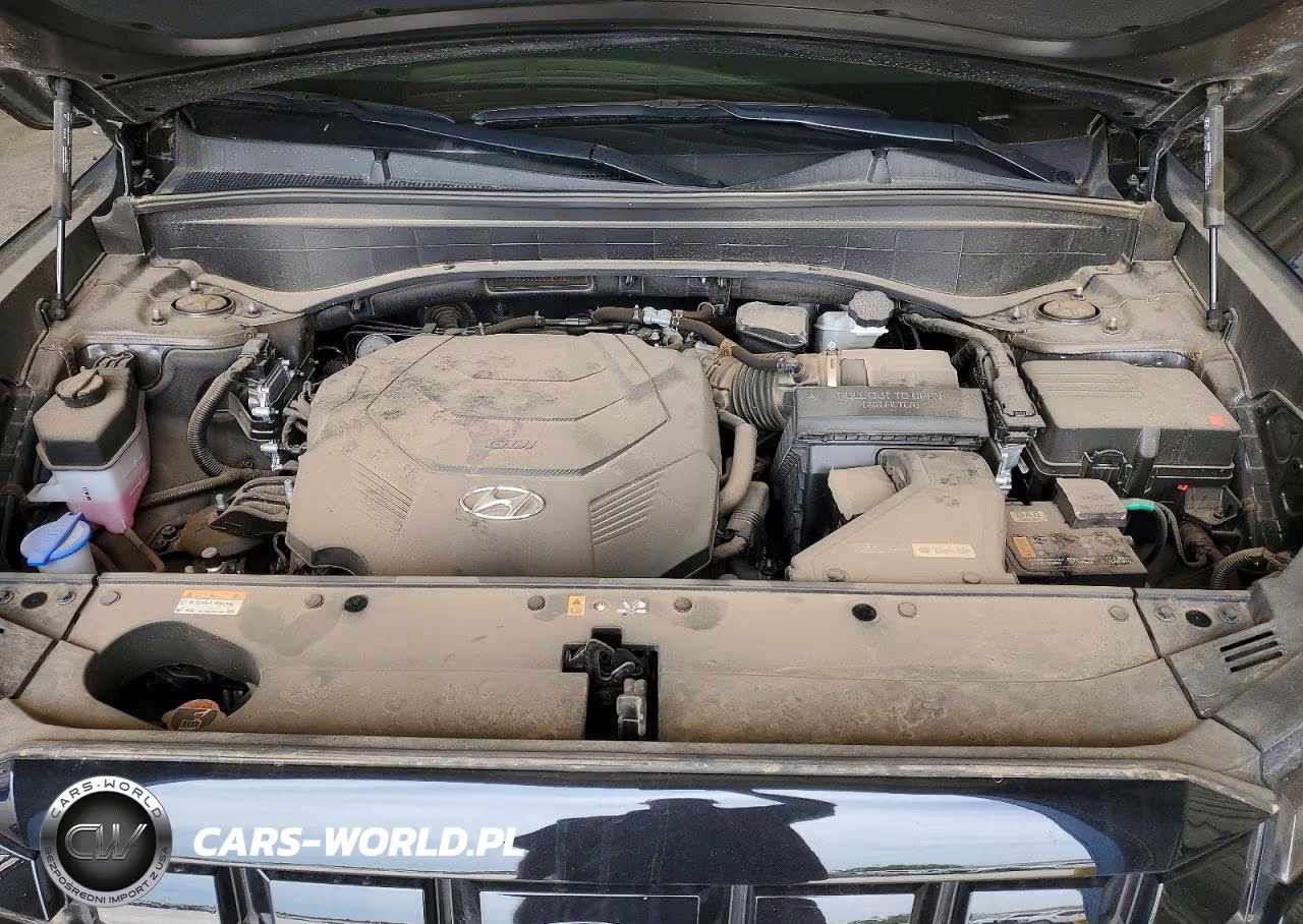 2025 Hyundai Palisade Sel VIN:KM8R24GE9SU870802 - 12