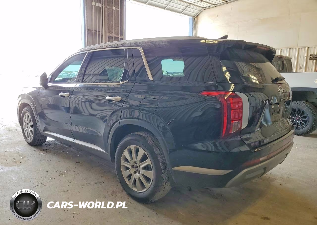 2025 Hyundai Palisade Sel VIN:KM8R24GE9SU870802 - 2