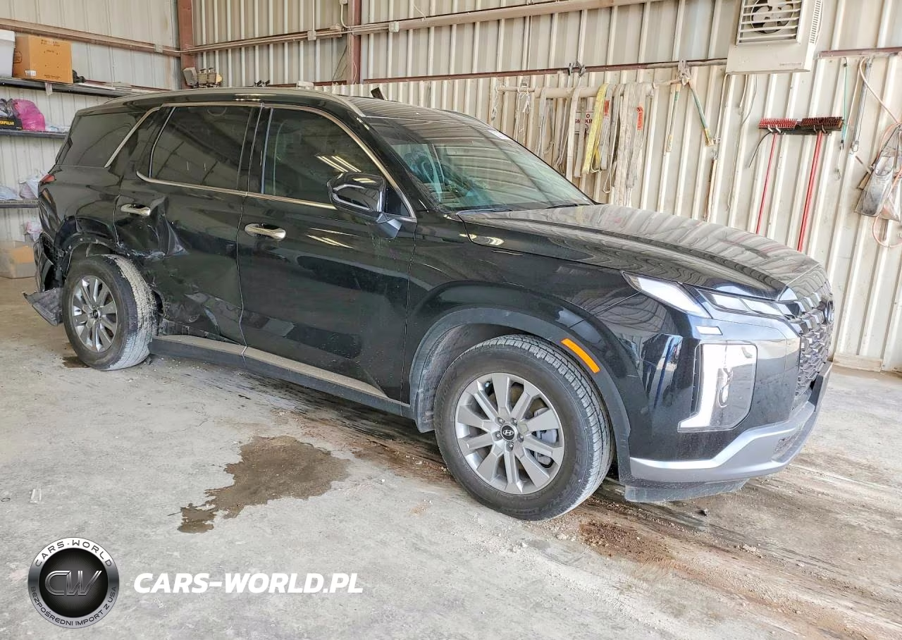 2025 Hyundai Palisade Sel VIN:KM8R24GE9SU870802 - 4