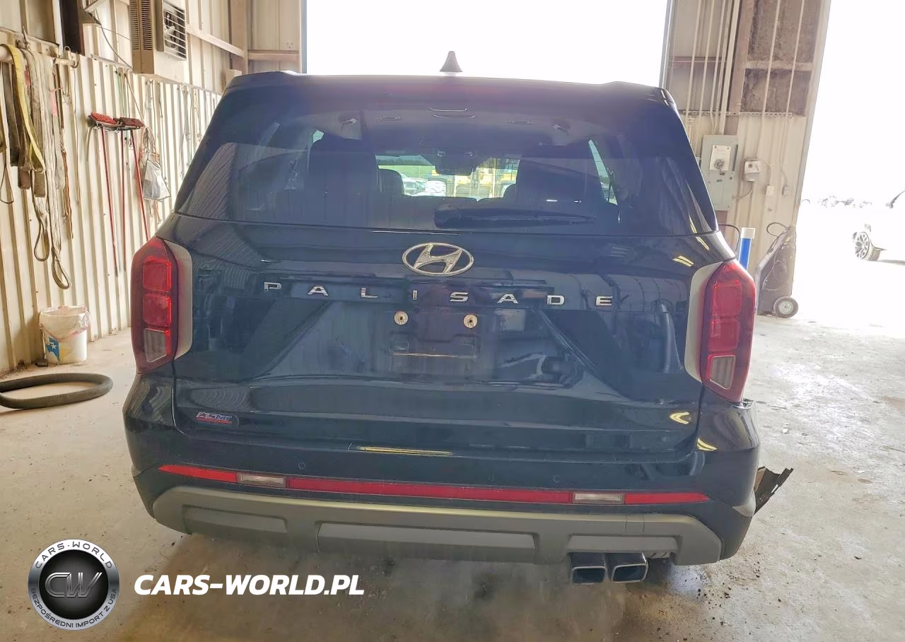2025 Hyundai Palisade Sel VIN:KM8R24GE9SU870802 - 6
