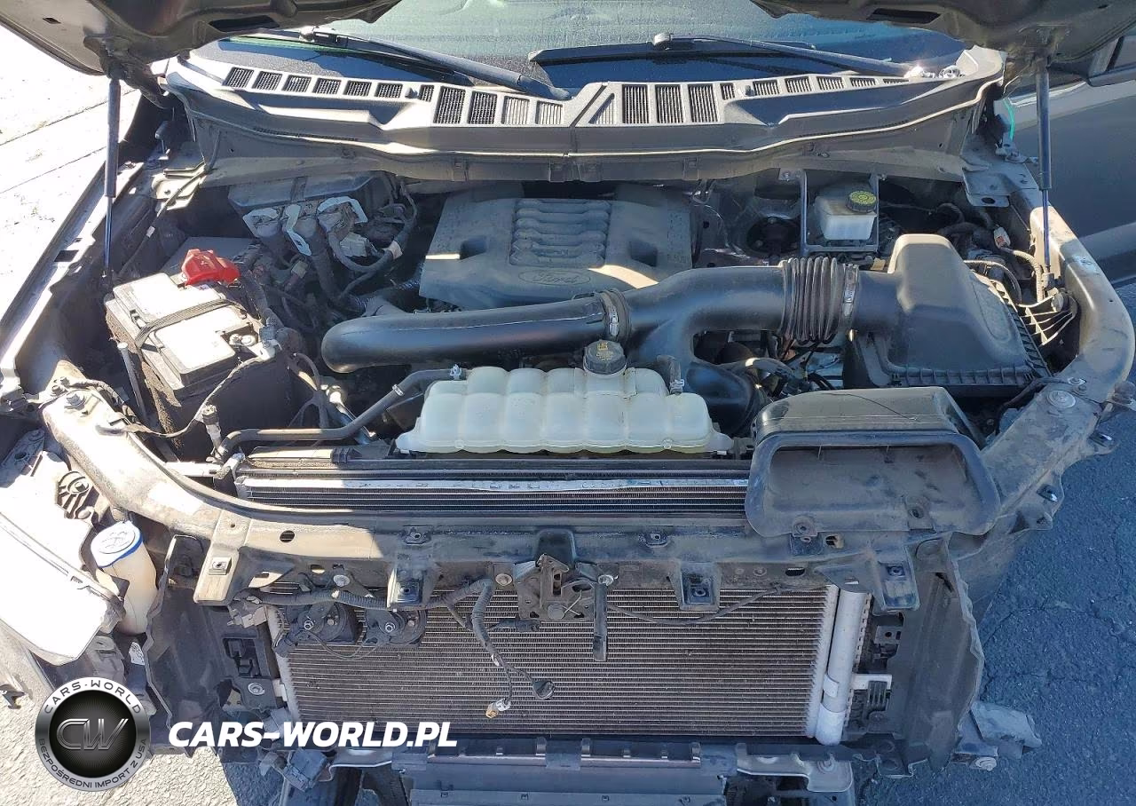 2023 Ford F150 Supercrew VIN:1FTFW1E82PKE73863 - 11