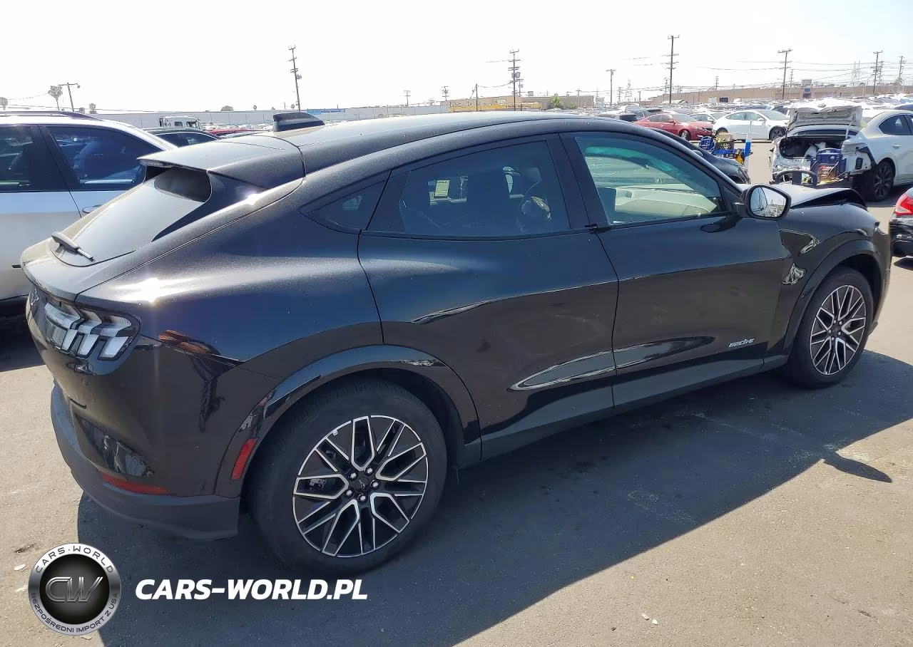 2025 Ford Mustang Mach-E Premium VIN:3FMTK3R79SMA35236 - 3