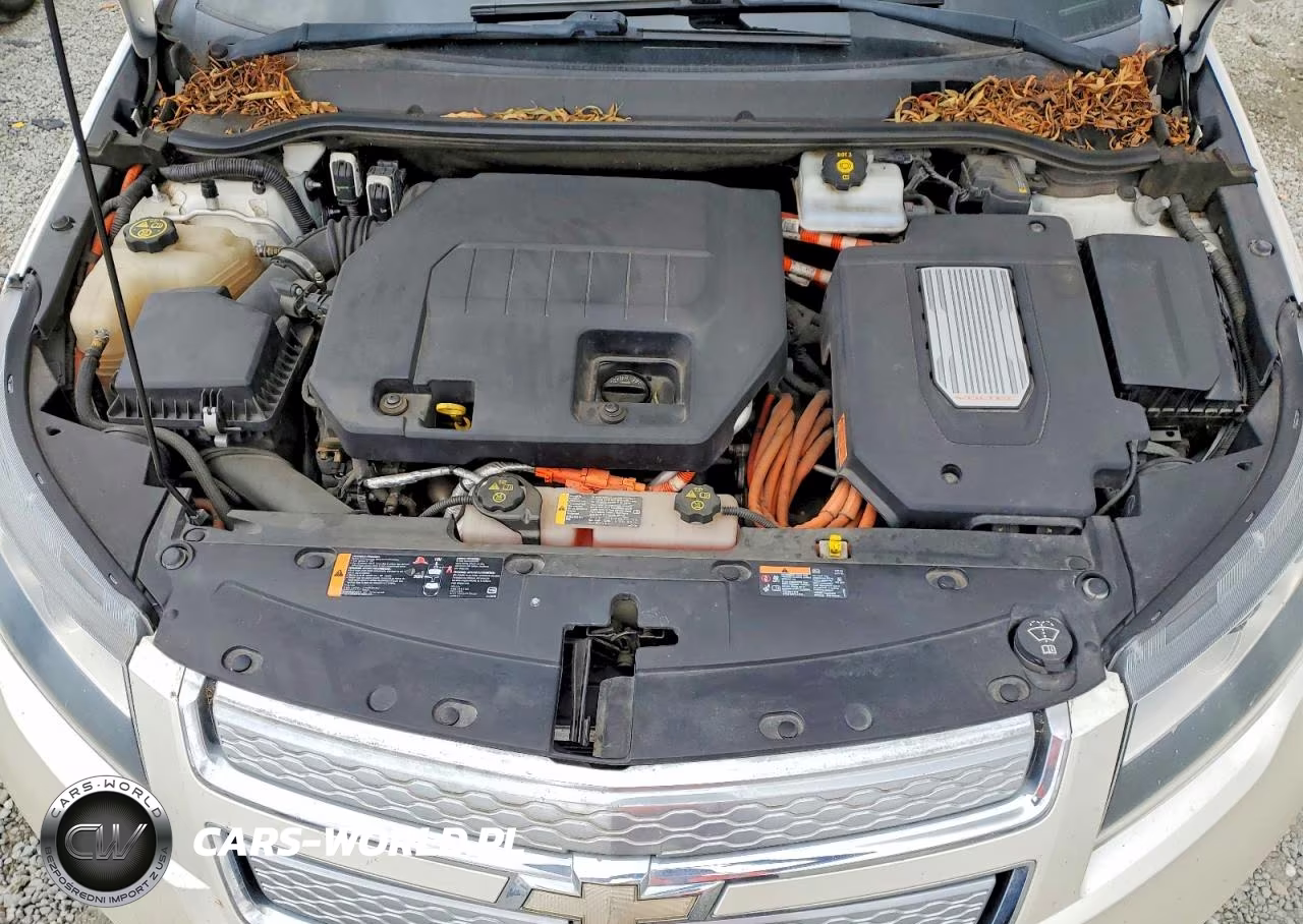 2013 Chevrolet Volt VIN:1G1RD6E45DU101486 - 11