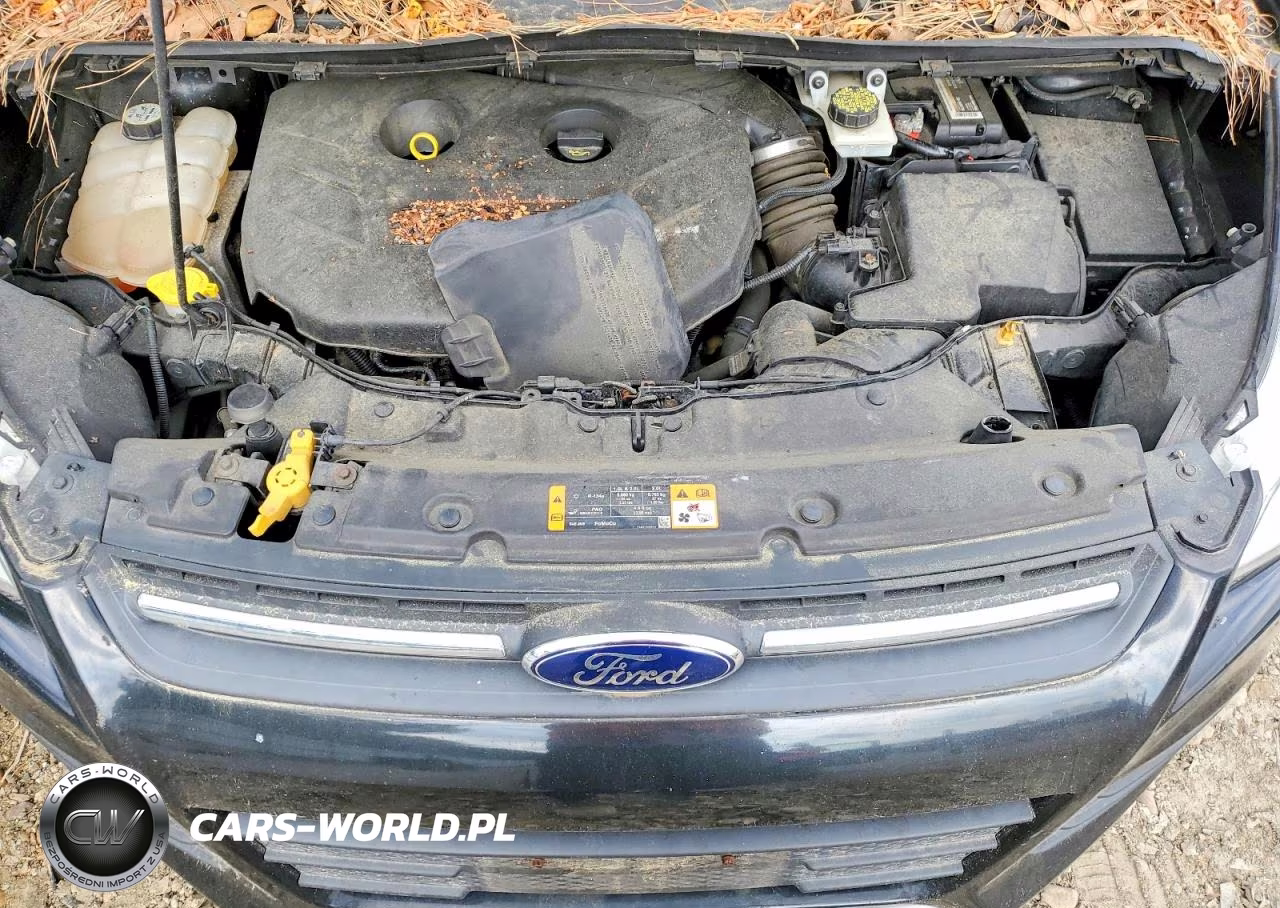2013 Ford Escape Se VIN:1FMCU0G93DUC67939 - 12