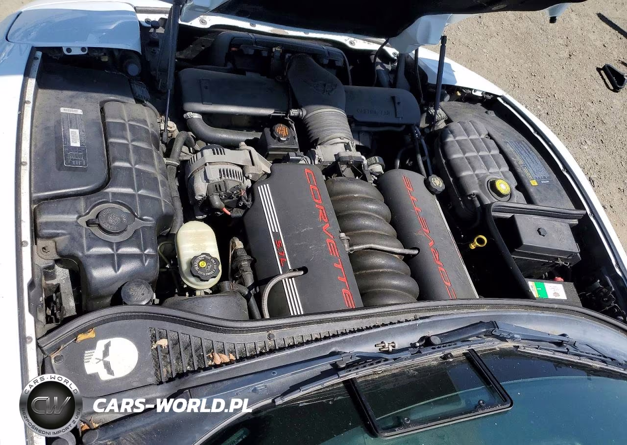 1999 Chevrolet Corvette VIN:1G1YY32G9X5101888 - 11