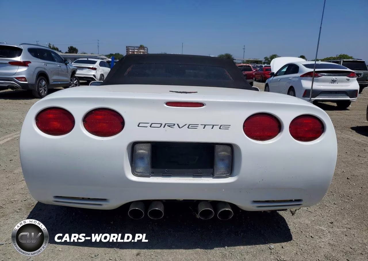 1999 Chevrolet Corvette VIN:1G1YY32G9X5101888 - 6
