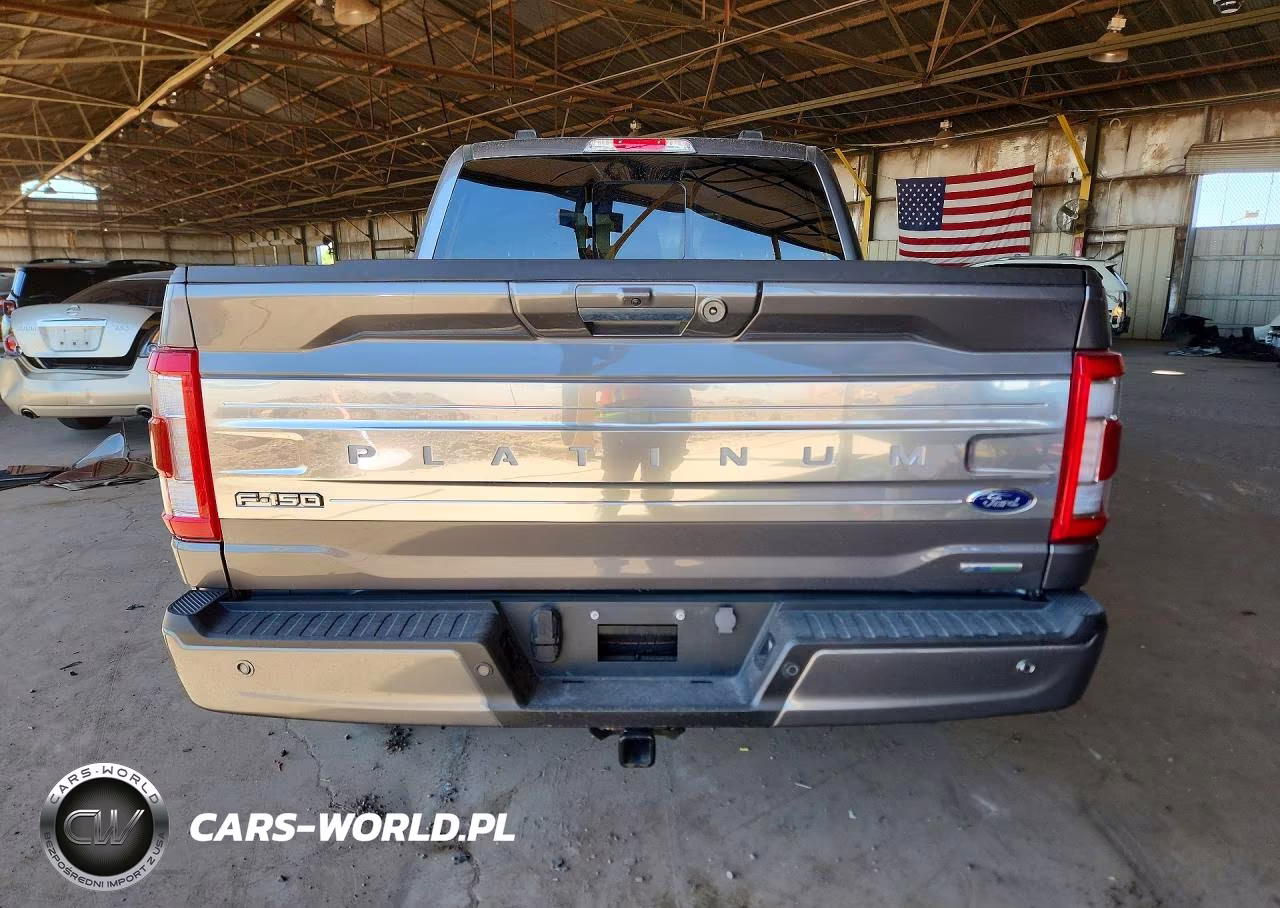 2023 Ford F150 Supercrew VIN:1FTFW1E80PFC29069 - 6